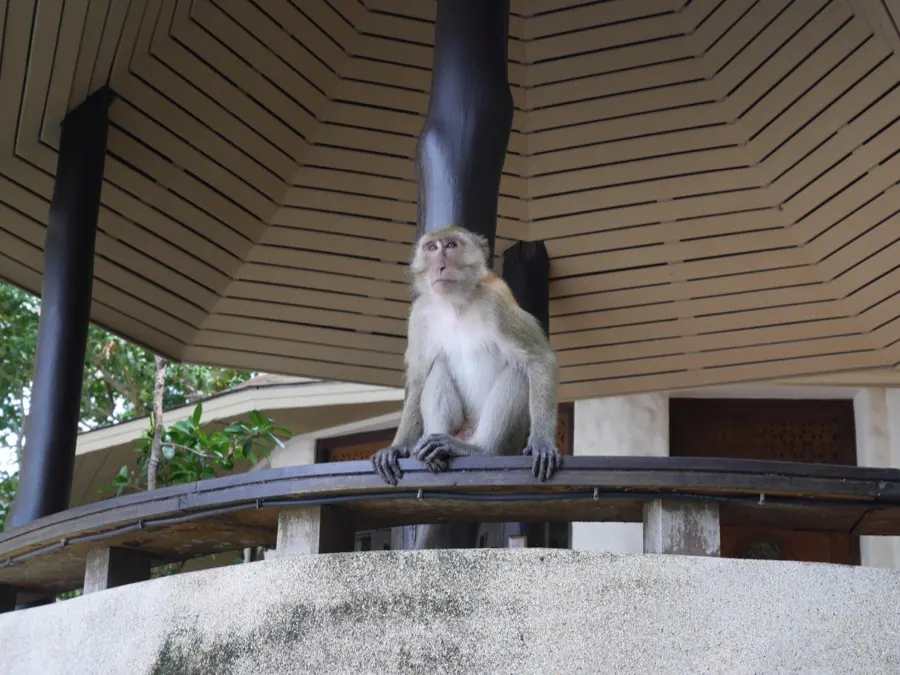 Thailand — Lumina Journeys destination comparison
